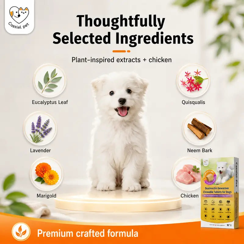 Cassiel Pet Chicken Flavor Soft Treats for Adult Dogs, Daily Pet Snacks, Easy Feeding, 10 Tablets