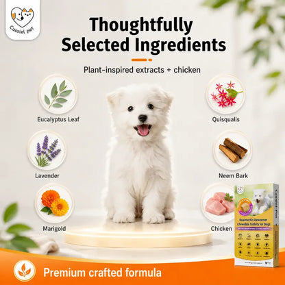 Cassiel Pet Chicken Flavor Soft Treats for Adult Dogs, Daily Pet Snacks, Easy Feeding, 10 Tablets