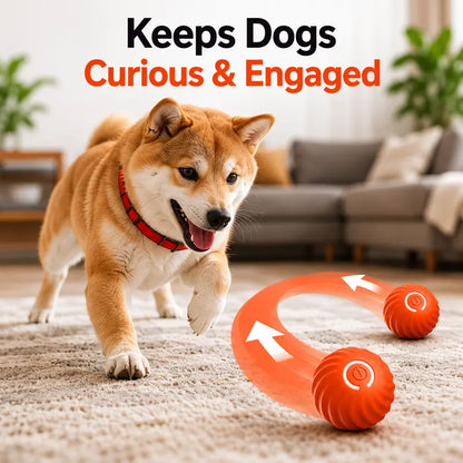 Interactive Dog Ball, 2.2-Inch Motion-Activated Automatic Rolling & Bouncing Ball, USB Rechargeable Durable Indoor & Outdoor Pet Toy for Dogs