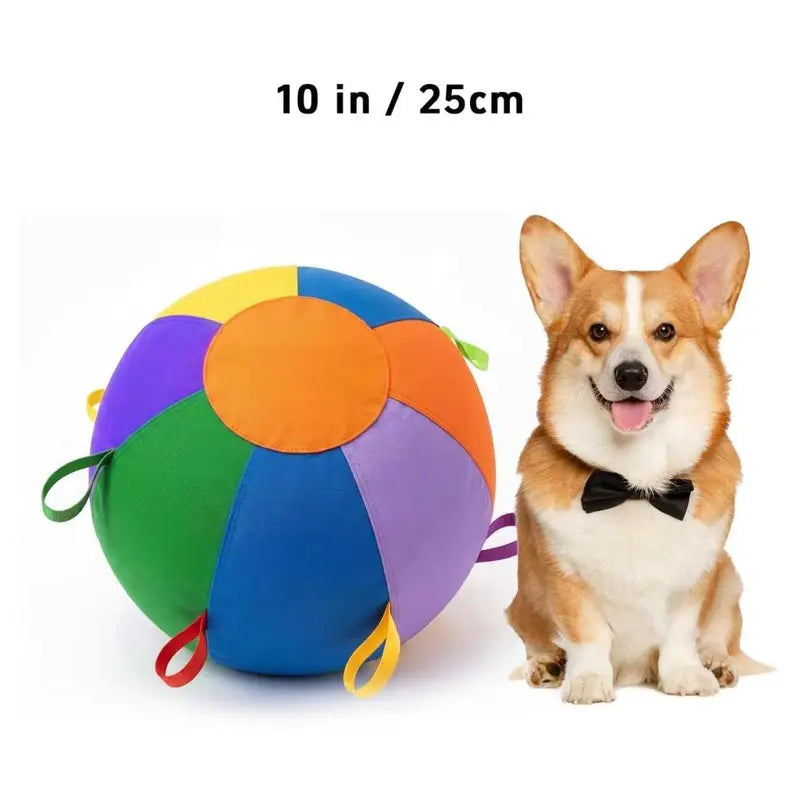 Dog Herding Ball - Vibrant Color, Upgraded Reinforced Design, Mental & Physical Exercise Interactive Toy High Bounce Dog Ball, Easy to Clean for Backyard Daily Playtime,Familyfun