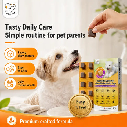 Cassiel Pet Chicken Flavor Soft Treats for Adult Dogs, Daily Pet Snacks, Easy Feeding, 10 Tablets