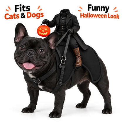 Halloween Headless Horseman Pet Costume for Cats and Small Dogs - 3D Rider Outfit with Pumpkin Lantern and Adjustable Straps