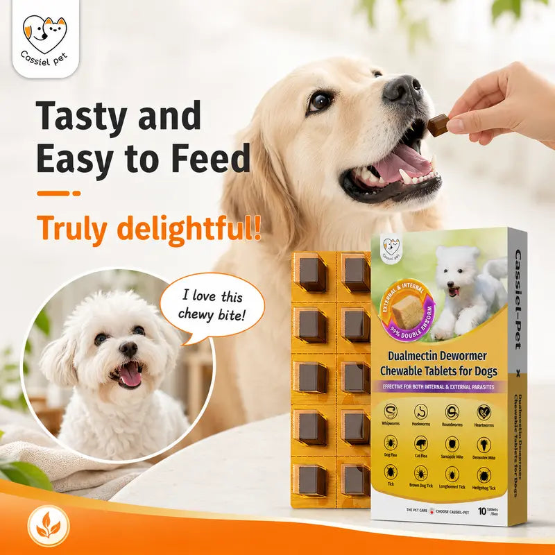 Cassiel Pet Chicken Flavor Soft Treats for Adult Dogs, Daily Pet Snacks, Easy Feeding, 10 Tablets
