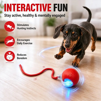 Interactive Usb-Rechargeable Smart Rolling String Cat Toy Ball - Light-Up, Quiet Adjustable Mode, Bite-Wear Resistant, Shatterproof, Non-Toxic, Replaceable Wavy-Texture Shell, 8-Color Indoor Kitten Hunting Toy with Automatic Bird Sound Movement