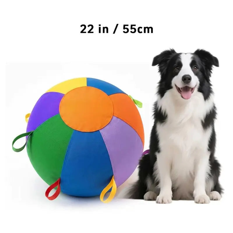 Dog Herding Ball - Vibrant Color, Upgraded Reinforced Design, Mental & Physical Exercise Interactive Toy High Bounce Dog Ball, Easy to Clean for Backyard Daily Playtime,Familyfun