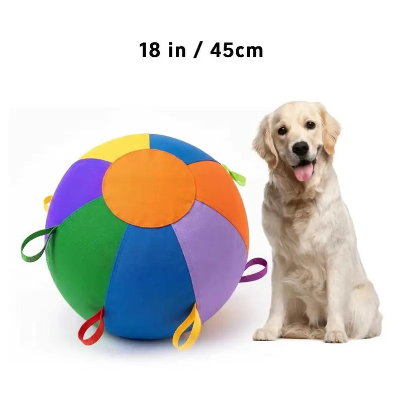 Dog Herding Ball - Vibrant Color, Upgraded Reinforced Design, Mental & Physical Exercise Interactive Toy High Bounce Dog Ball, Easy to Clean for Backyard Daily Playtime,Familyfun